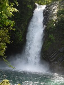 浄蓮の滝の滝